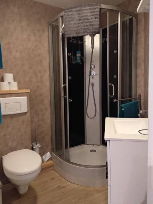 Appartement Centre Ville Rose Toulouse Kültér fotó