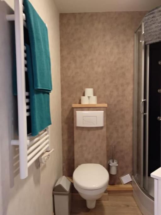 Appartement Centre Ville Rose Toulouse Kültér fotó